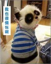 干了安全这几年,我竟然变成了这样的人! 干了安全这几年,我竟然变成了这样的人!