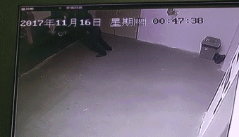 叉车司机事故 | "2.26"司机戳爆大货,胎爆人亡 叉车司机事故 | 司机戳爆大货,胎爆人亡