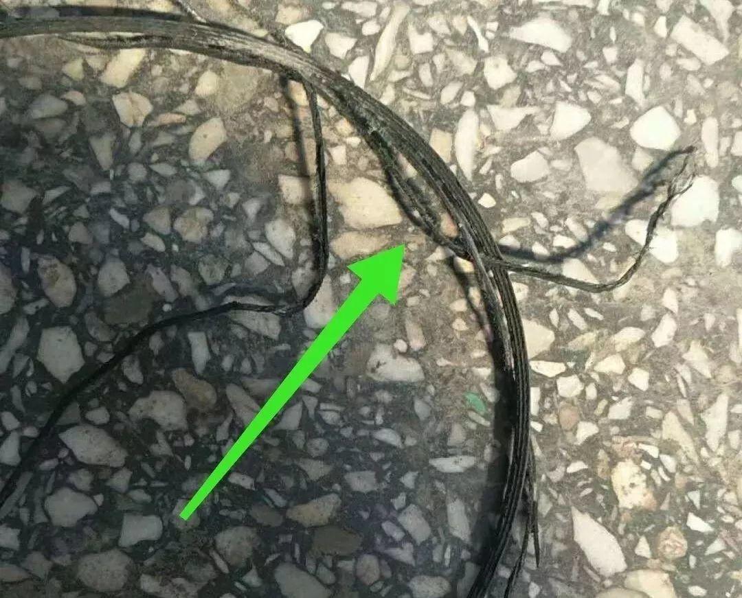 汽车的发电机皮带断了怎么办？迈腾车主就遇到了这个头疼的问题！