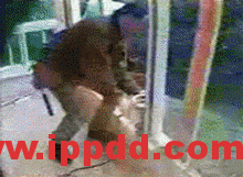 2020年2月复工事故视频，常见各种类型事故发生瞬间动图展示及员工安全培训教材PPT