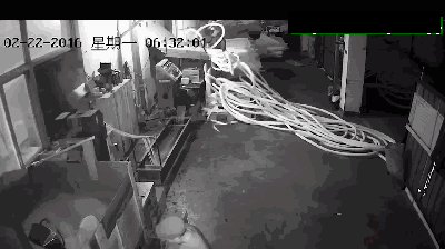 最新机械伤害事故案例及防止机械伤害事故培训PPT(视频、动图、PPT)