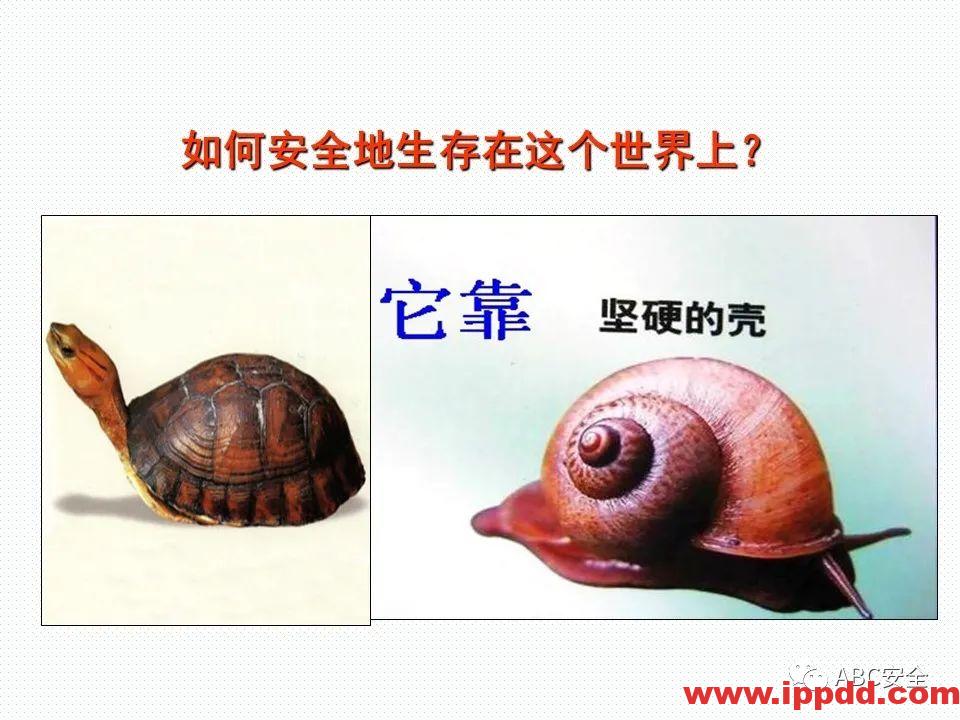 新标准来了!GB 2811-2019 安全帽新规正式实施,所有机关、团体、企业、事业单位都需要修改!!!