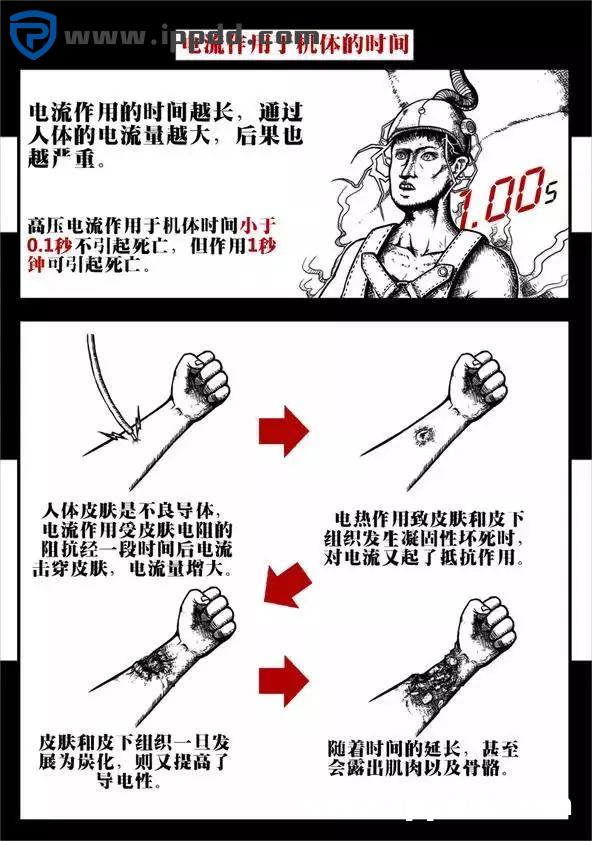触电事故:到底是电压杀人,还是电流杀人?附ppt