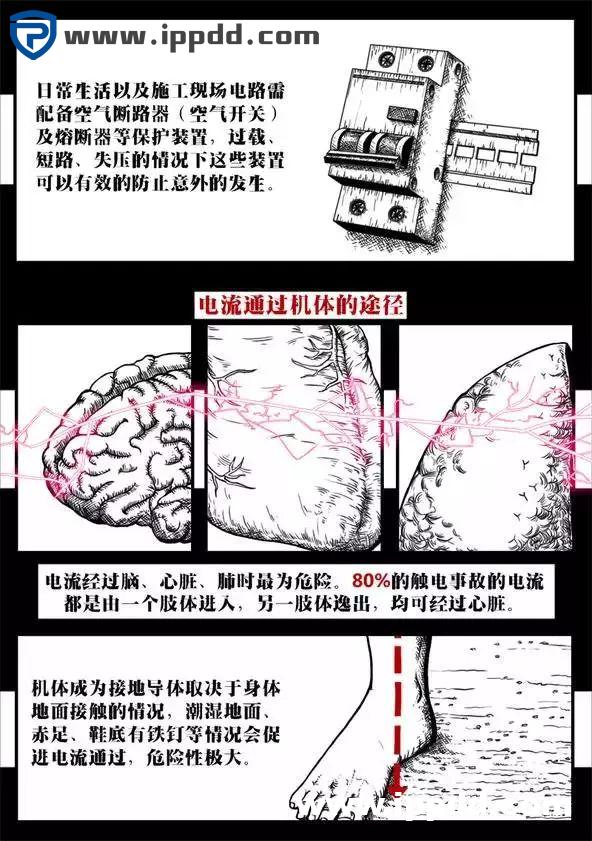 触电事故:到底是电压杀人,还是电流杀人?附ppt