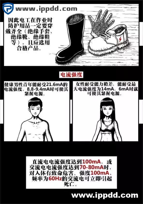 触电事故:到底是电压杀人,还是电流杀人?附ppt
