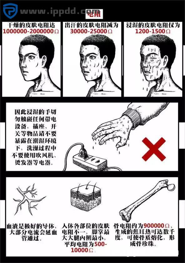 触电事故:到底是电压杀人,还是电流杀人?附ppt