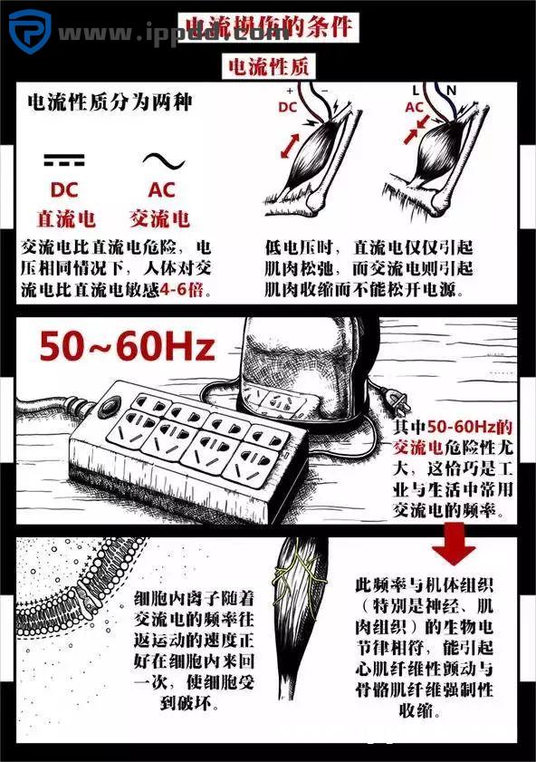 触电事故:到底是电压杀人,还是电流杀人?附ppt