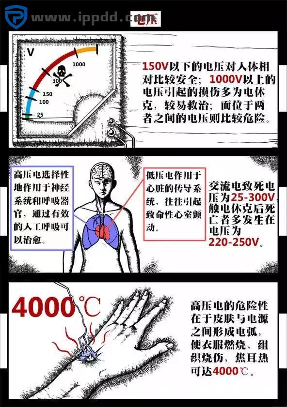 触电事故:到底是电压杀人,还是电流杀人?附ppt