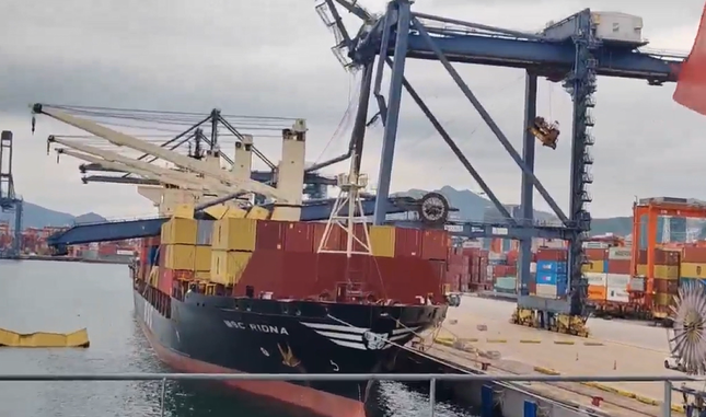 [港口事故案例]一岸桥砸到MSC船舶|集装箱码头起火！