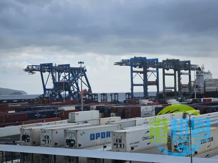 法兰西堡港一台新型低姿态岸边集装箱起重机在调试期间倒塌