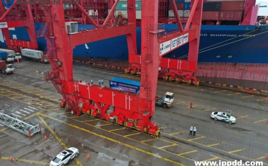 《外来入侵物种管理办法》8月1日起施行