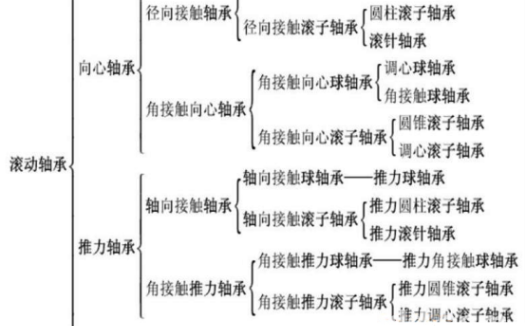 滚动轴承的分类和解剖图